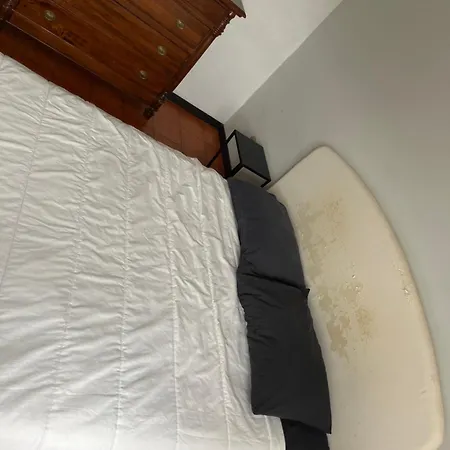 بيت ضيافة Ciamarra Pet Friendly Dog And Cat Accepted روما